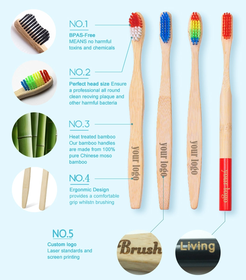 Reusable Daily Necessities Rainbow Nylon Brush Head Biodegradable Bamboo Toothbrush
