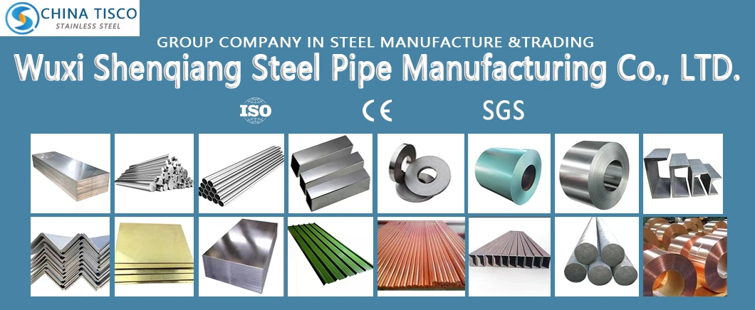 PPGI PPGL 600-1500mm Prepainted Gi Galvanized Steel Sheet in Coil