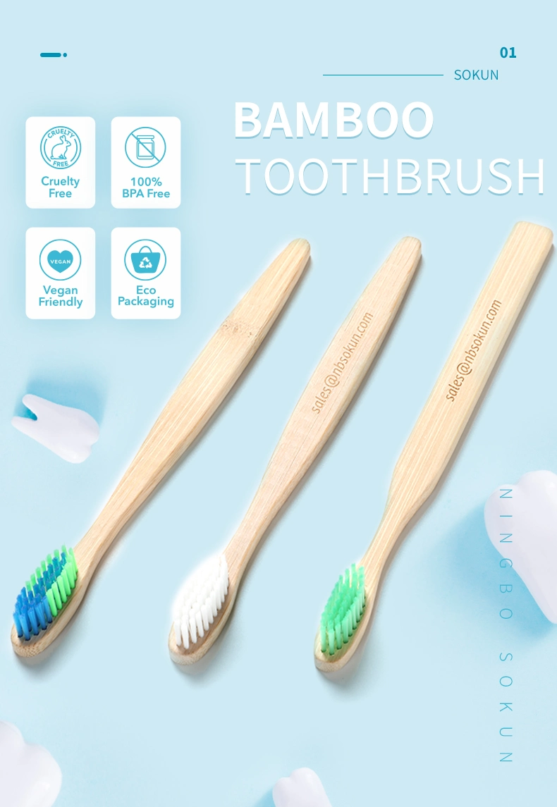 Reusable Daily Necessities Rainbow Nylon Brush Head Biodegradable Bamboo Toothbrush